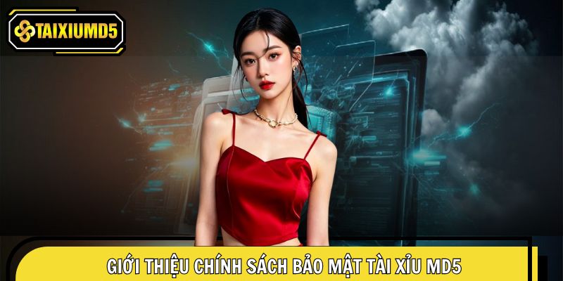 Tổng quan những thông tin cơ bản về chính sách bảo mật