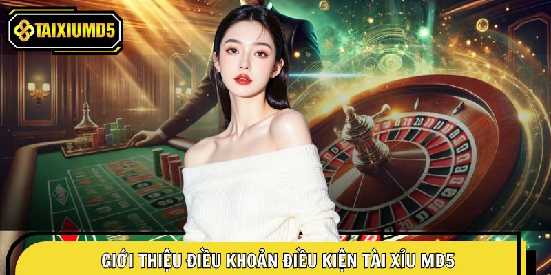 Vài nét sơ lược về điều khoản điều kiện của hệ thống 