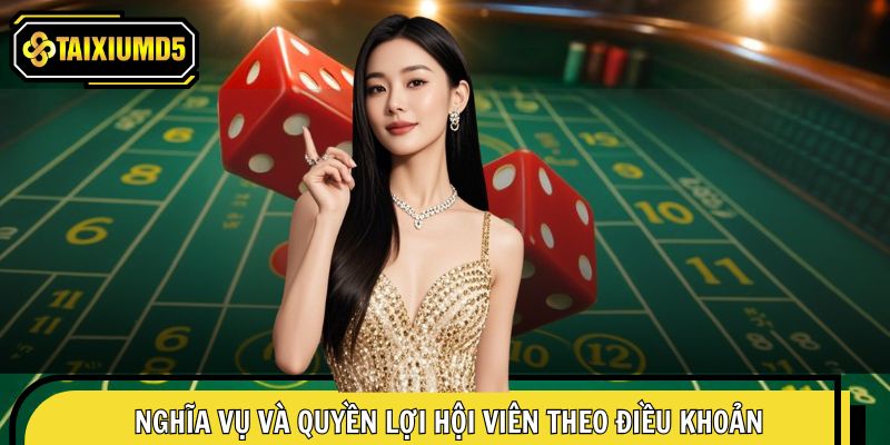 Quy định cụ thể nghĩa vụ và quyền lợi của hội viên theo chính sách