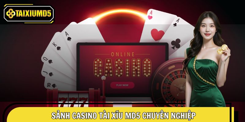 Giới thiệu về casino Tài Xĩu MD5