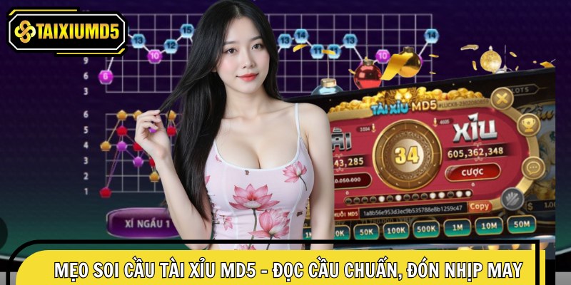 Mẹo soi cầu tài xỉu MD5