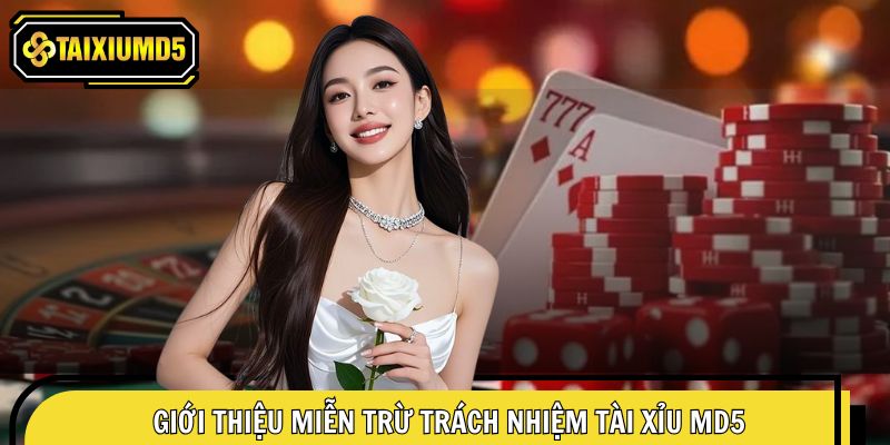Tìm hiểu tổng quan về chính sách miễn trừ trách nhiệm MD5
