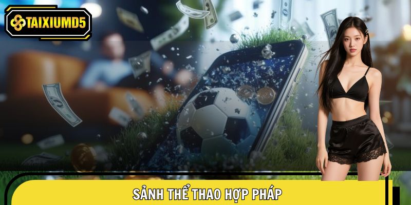 Sảnh thể thao hợp pháp với sản phẩm chất lượng