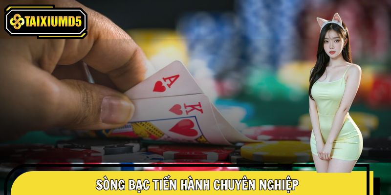 Sòng bạc của nhà cái chơi chuyên nghiệp