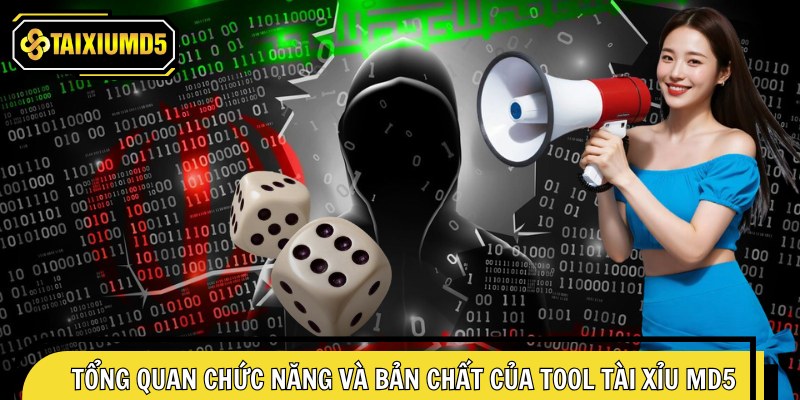 Tổng quan chức năng và bản chất của tool tài xỉu MD5